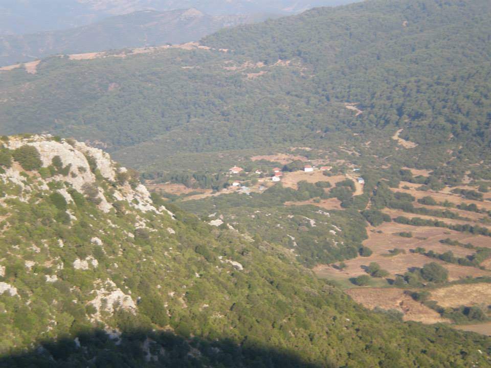 Δασικοί Χάρτες: Eνισχύονται οι Επιτροπές Εξέτασης Αντιρρήσεων, αυστηροποιείται το πλαίσιο ελέγχου Δασικοί Χάρτες: Eνισχύονται οι Επιτροπές Εξέτασης Αντιρρήσεων, αυστηροποιείται το πλαίσιο ελέγχου