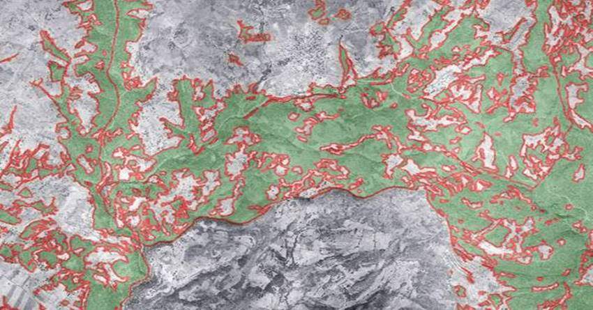 Τι προβλέπεται για την αναδάσωση • Οι παράνομοι Δασικοί Χάρτες και τα Αιολικά Πάρκα